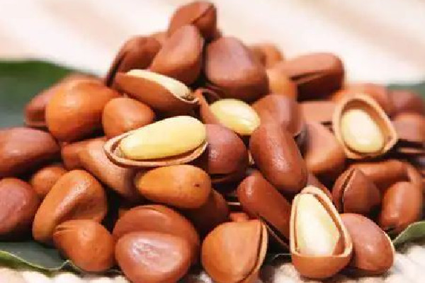 松子價(jià)格多少錢一斤 松子的作用和功效 松子價(jià)格多少錢一斤 松子的作用和功效