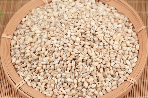 青稞米和大米可以一起煮飯 青稞米什么顏色的好 青稞米和大米可以一起煮飯 青稞米什么顏色的好