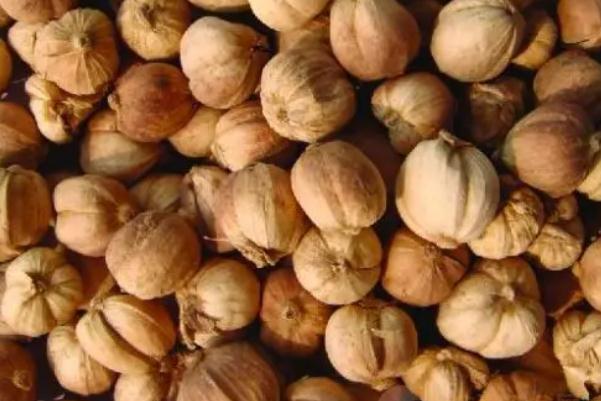 白蔻仁的用量 白蔻的味道 白蔻仁的用量 白蔻的味道