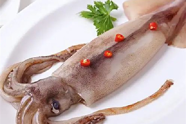 魷魚屬于高蛋白食物嗎 魷魚是發(fā)物嗎 魷魚屬于高蛋白食物嗎 魷魚是發(fā)物嗎