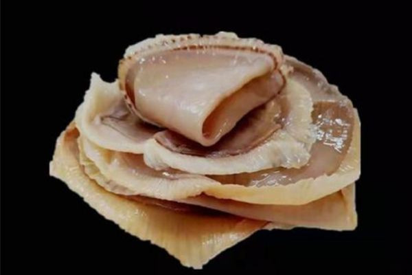 海蜇要煮熟在涼拌嗎 海蜇煮熟后化了為什么