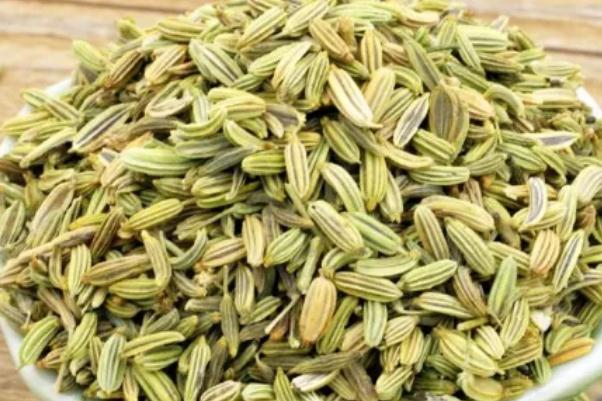 茴香的功效與作用禁忌 小茴香和孜然一樣嗎 茴香的功效與作用禁忌 小茴香和孜然一樣嗎