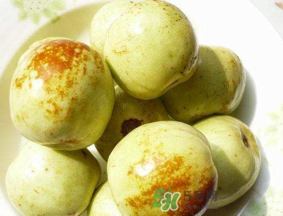 梨棗多少錢一斤 梨棗的熱量 梨棗多少錢一斤 梨棗的熱量