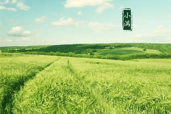 小滿是春天還是夏天 小滿的來歷和風(fēng)俗 小滿是春天還是夏天 小滿的來歷和風(fēng)俗