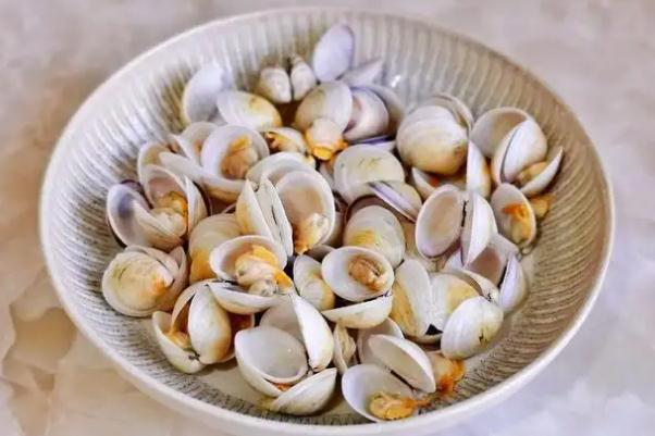 蛤蜊的功效與作用 蛤蜊怎么去泥沙 蛤蜊的功效與作用 蛤蜊怎么去泥沙