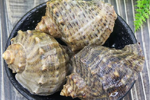 大海螺哪個部位不能吃 大海螺肝臟可以吃嗎 大海螺哪個部位不能吃 大海螺肝臟可以吃嗎