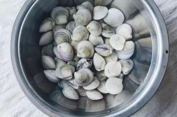 蛤蜊是高嘌呤食物嗎 蛤蜊是蜆子嗎 蛤蜊是高嘌呤食物嗎 蛤蜊是蜆子嗎