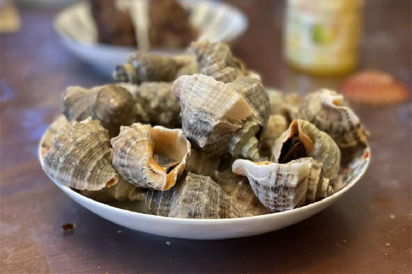 大海螺可以冷凍儲(chǔ)存嗎 大海螺買回來(lái)怎么保存