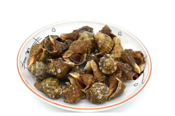 大海螺開(kāi)鍋蒸幾分鐘好 大海螺蒸還是煮著好吃 大海螺開(kāi)鍋蒸幾分鐘好 大海螺蒸還是煮著好吃