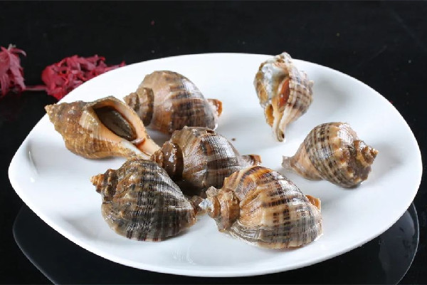 大海螺開(kāi)鍋蒸幾分鐘好 大海螺蒸還是煮著好吃 大海螺開(kāi)鍋蒸幾分鐘好 大海螺蒸還是煮著好吃