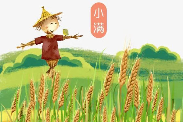 小滿吃什么傳統(tǒng)食物 小滿要吃餃子嗎 小滿吃什么傳統(tǒng)食物 小滿要吃餃子嗎