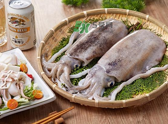 墨魚多少錢一斤 墨魚買哪種好 墨魚多少錢一斤 墨魚買哪種好