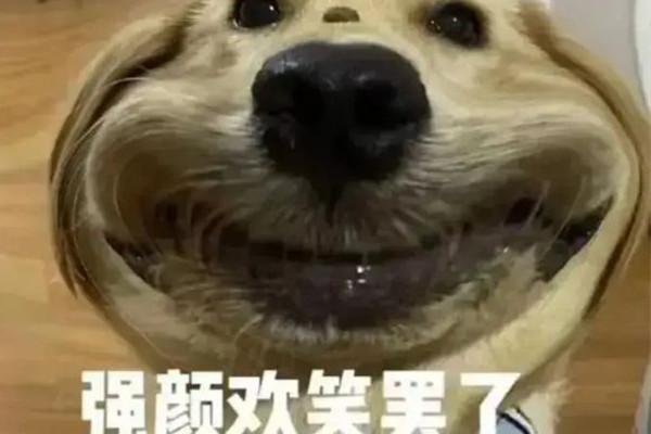 冤種是什么意思梗 冤種是哪里的方言 冤種是什么意思梗 冤種是哪里的方言