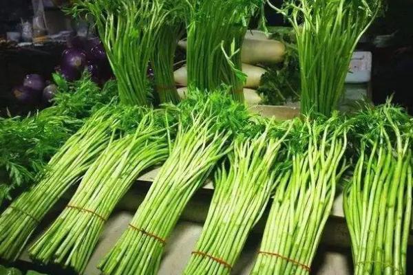 藜蒿怎么保存長(zhǎng)久 藜蒿的葉子可以吃嗎 藜蒿怎么保存長(zhǎng)久 藜蒿的葉子可以吃嗎