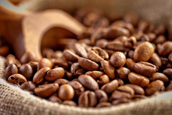 咖啡豆是熱性還是涼性 咖啡豆是貓拉的屎嗎 咖啡豆是熱性還是涼性 咖啡豆是貓拉的屎嗎