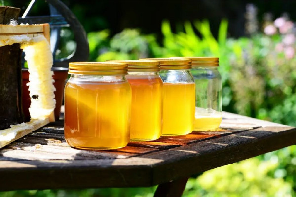 土蜂蜜有顆粒狀正常嗎 土蜂蜜有沙粒感是真的嗎 土蜂蜜有顆粒狀正常嗎 土蜂蜜有沙粒感是真的嗎