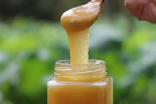 土蜂蜜和普通蜂蜜的區(qū)別 土蜂蜜和普通蜂蜜哪個(gè)好 土蜂蜜和普通蜂蜜的區(qū)別 土蜂蜜和普通蜂蜜哪個(gè)好