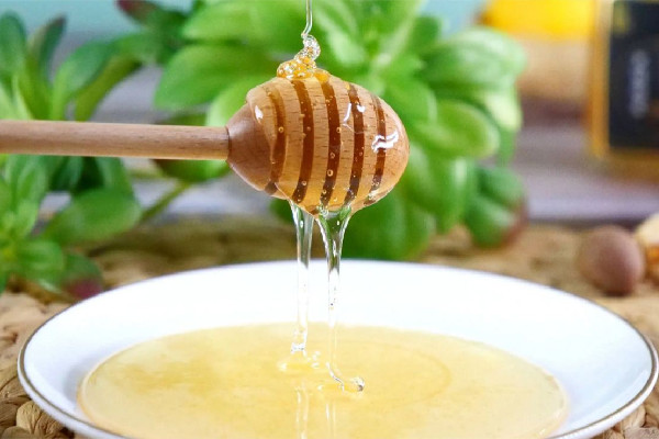 土蜂蜜可以直接吃嗎 土蜂蜜直接吃好還是沖水喝好 土蜂蜜可以直接吃嗎 土蜂蜜直接吃好還是沖水喝好