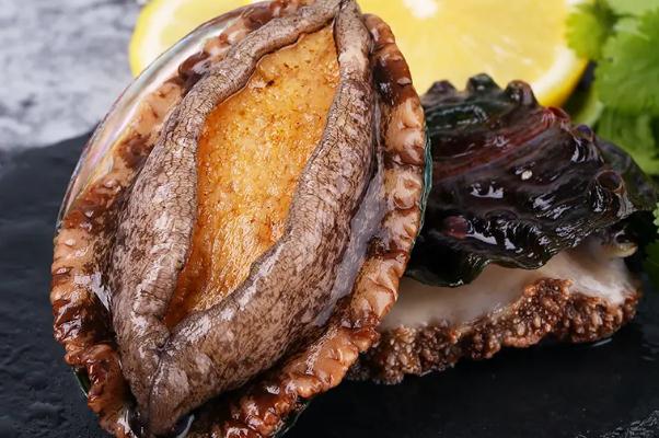 鮑魚孕婦可以吃嗎 鮑魚孕婦吃了有什么好處 鮑魚孕婦可以吃嗎 鮑魚孕婦吃了有什么好處