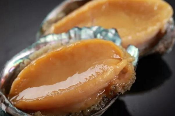 鮑魚要放冰箱嗎 鮑魚要殺一下嗎 鮑魚要放冰箱嗎 鮑魚要殺一下嗎