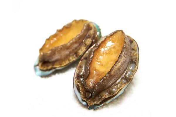 鮑魚(yú)的熱量 鮑魚(yú)有寄生蟲(chóng)嗎 鮑魚(yú)的熱量 鮑魚(yú)有寄生蟲(chóng)嗎