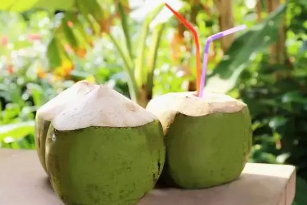 椰青加熱后還有營(yíng)養(yǎng)嗎 椰青汁是透明的嗎 椰青加熱后還有營(yíng)養(yǎng)嗎 椰青汁是透明的嗎