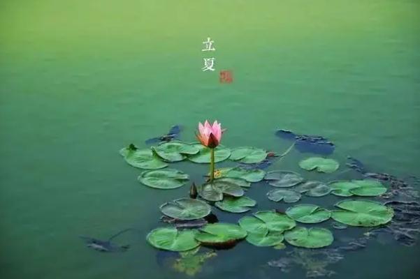 立夏節(jié)氣的特點和風俗 立夏節(jié)氣是幾月幾日