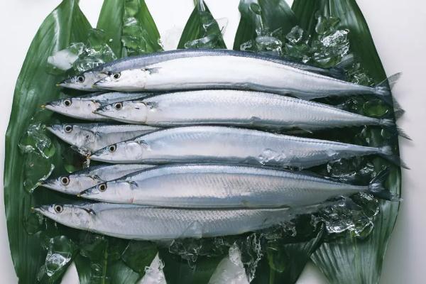 秋刀魚是進(jìn)口的還是國(guó)產(chǎn)的 秋刀魚是寒性還是熱性 秋刀魚是進(jìn)口的還是國(guó)產(chǎn)的 秋刀魚是寒性還是熱性