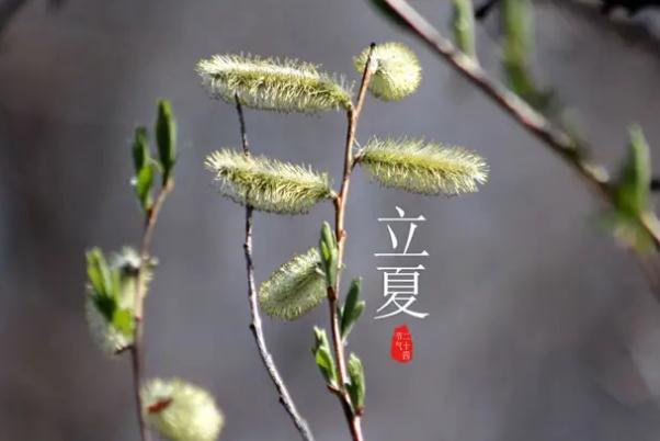 立夏是夏天的第一天嗎 立夏為什么要吃雞蛋 立夏是夏天的第一天嗎 立夏為什么要吃雞蛋