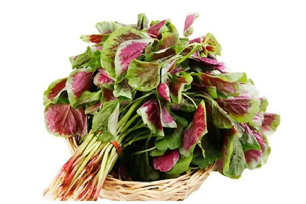 紅莧菜可以補(bǔ)血嗎 紅莧菜適合什么人吃