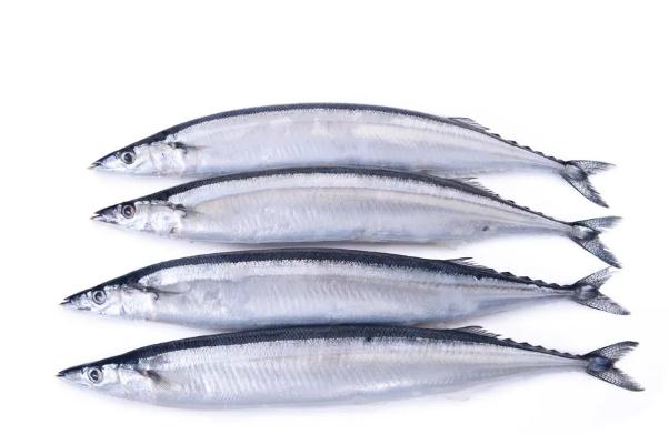 秋刀魚是進(jìn)口的還是國(guó)產(chǎn)的 秋刀魚是寒性還是熱性 秋刀魚是進(jìn)口的還是國(guó)產(chǎn)的 秋刀魚是寒性還是熱性