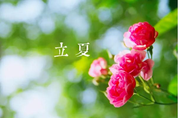 立夏可以剪頭發(fā)嗎 立夏可以洗澡嗎 立夏可以剪頭發(fā)嗎 立夏可以洗澡嗎