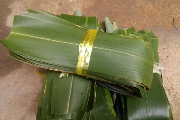 粽葉是新鮮的好還是干的好 粽葉買回來(lái)怎么處理 粽葉是新鮮的好還是干的好 粽葉買回來(lái)怎么處理