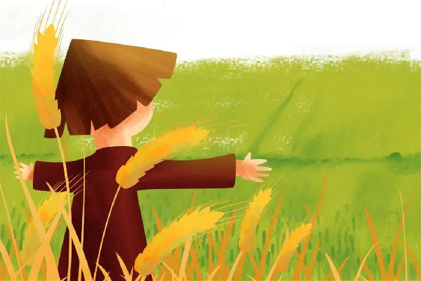 芒種喝什么湯好 芒種喝酸梅湯的寓意 芒種喝什么湯好 芒種喝酸梅湯的寓意