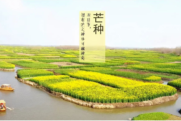 芒種的寓意和象征 芒種有什么特點(diǎn) 芒種的寓意和象征 芒種有什么特點(diǎn)