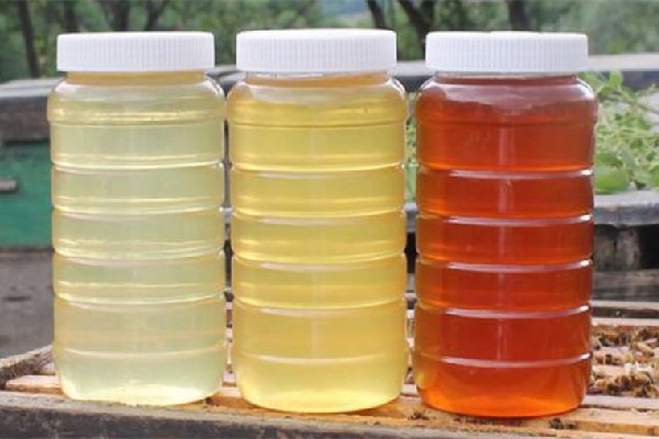 洋槐蜜用熱水還是涼水 洋槐蜜怎么吃最好 洋槐蜜用熱水還是涼水 洋槐蜜怎么吃最好