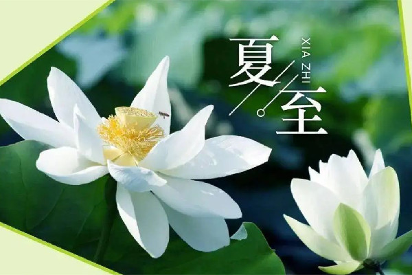 夏至吃面條還是餃子 夏至要吃餛飩嗎 夏至吃面條還是餃子 夏至要吃餛飩嗎