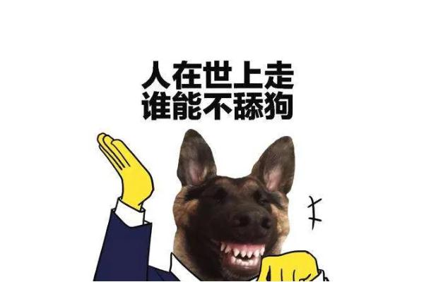 舔狗是什么心理 舔狗是罵人的話嗎 舔狗是什么心理 舔狗是罵人的話嗎