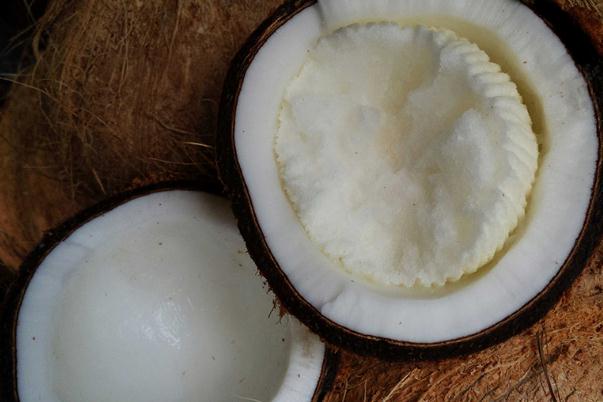 椰寶要怎么打開 椰寶要放冰箱嗎 椰寶要怎么打開 椰寶要放冰箱嗎