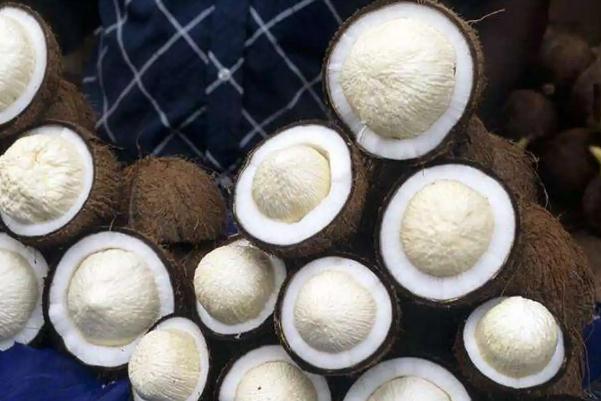 椰寶要怎么打開 椰寶要放冰箱嗎 椰寶要怎么打開 椰寶要放冰箱嗎