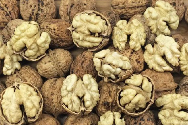 紙皮核桃和普通核桃哪個(gè)營養(yǎng)價(jià)值高 紙皮核桃和普通核桃區(qū)別 紙皮核桃和普通核桃哪個(gè)營養(yǎng)價(jià)值高 紙皮核桃和普通核桃區(qū)別