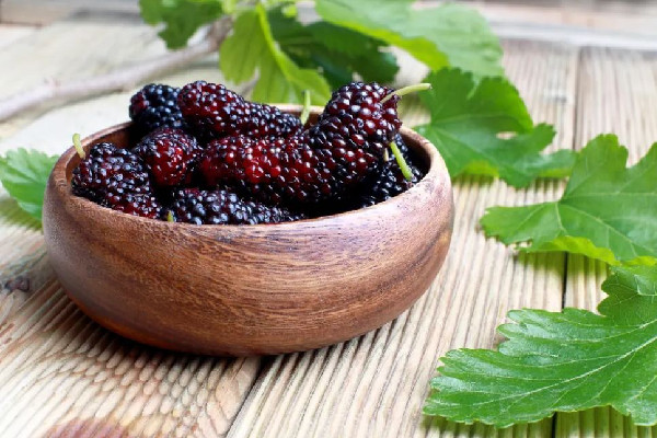 桑葚有沒有蟲子 桑葚清洗的正確方法 桑葚有沒有蟲子 桑葚清洗的正確方法