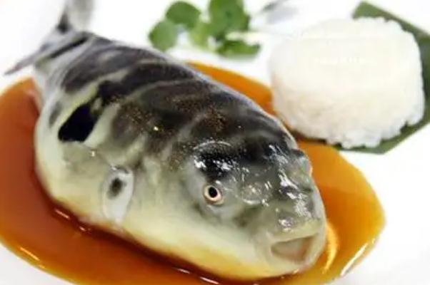 河豚中毒的特點(diǎn)是什么 河豚中毒是什么原因 河豚中毒的特點(diǎn)是什么 河豚中毒是什么原因