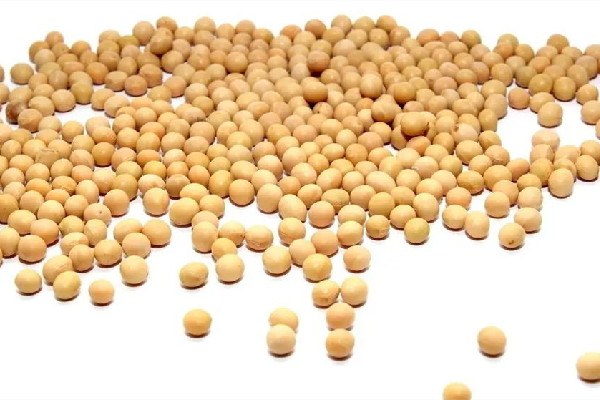 黃豆是毛豆變來(lái)的嗎 黃豆和大豆有什么區(qū)別
