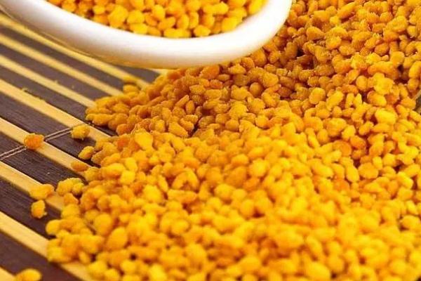 荷花粉孕婦可以吃嗎 荷花粉可以長(zhǎng)期吃嗎 荷花粉孕婦可以吃嗎 荷花粉可以長(zhǎng)期吃嗎