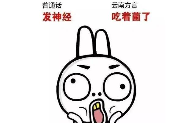 云南方言屬于哪個方言區(qū) 云南方言老瓦抓是什么意思 云南方言屬于哪個方言區(qū) 云南方言老瓦抓是什么意思