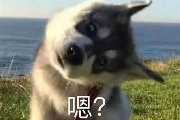 膠泥什么梗 膠泥是什么 膠泥什么梗 膠泥是什么