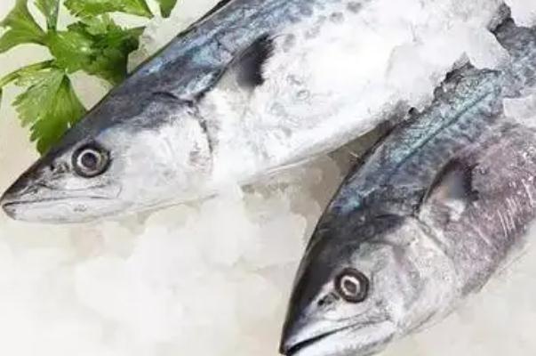 鲅魚對身體有什么好處 鲅魚對胃好嗎 鲅魚對身體有什么好處 鲅魚對胃好嗎