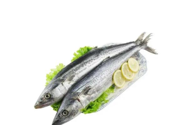 鲅魚和青魚的區(qū)別 鲅魚是寒性還是熱性 鲅魚和青魚的區(qū)別 鲅魚是寒性還是熱性