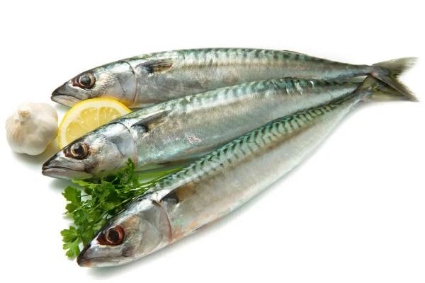 鲅魚(yú)會(huì)引起過(guò)敏嗎 吃鲅魚(yú)過(guò)敏的癥狀是什么 鲅魚(yú)會(huì)引起過(guò)敏嗎 吃鲅魚(yú)過(guò)敏的癥狀是什么